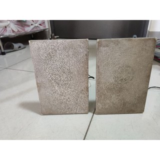 Cặp loa siêu mỏng