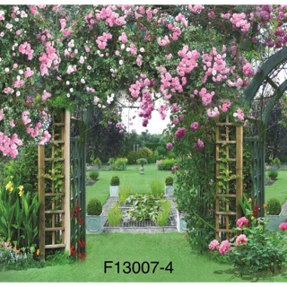 Vải chụp hình mẫu chân dung mã F13007