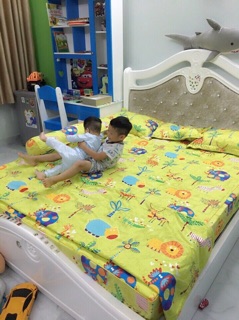 Bộ ga và vỏ gối cotton lụa hàn alnena