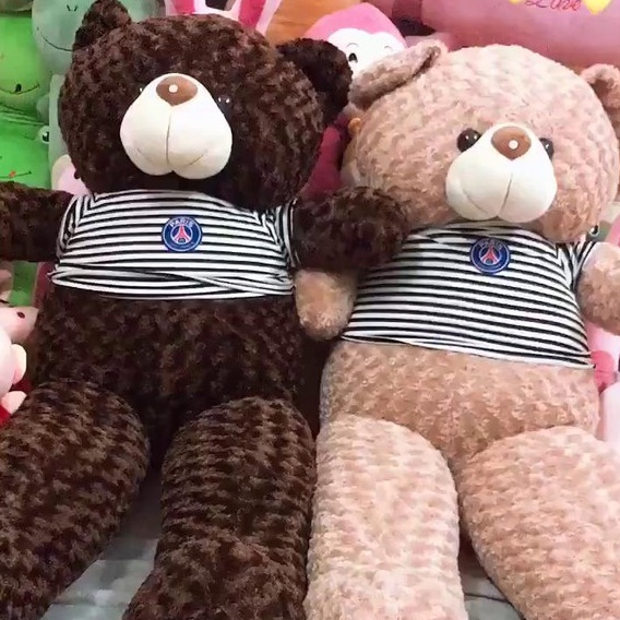 Gấu Bông Xù Teddy To Khổng Lồ Làm Quà Tặng Người Yêu Chất Liệu Vải Lông Nhung Xù Co Dãn Kích Thước 1m - 1m3