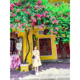 Đầm hoa nhí , cổ vuông xinh