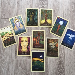 Bài Gaia Oracle