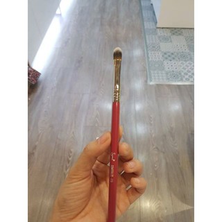 Cọ che khuyết điểm morphe, sigma,....