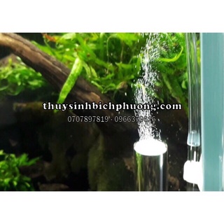 BỘ CỐC SỦI CO2 THUỶ TINH SIÊU MỊN + VAN CHIỀU