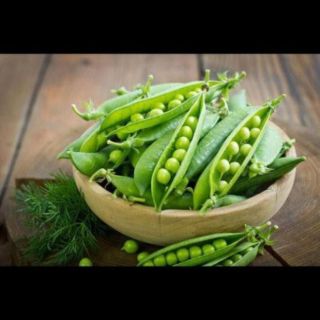 Hạt giống Đậu Hà Lan