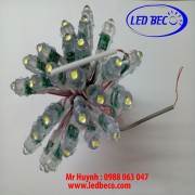 LED ĐÚC F5 XQD