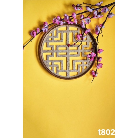 Phông nền chụp ảnh mã T802