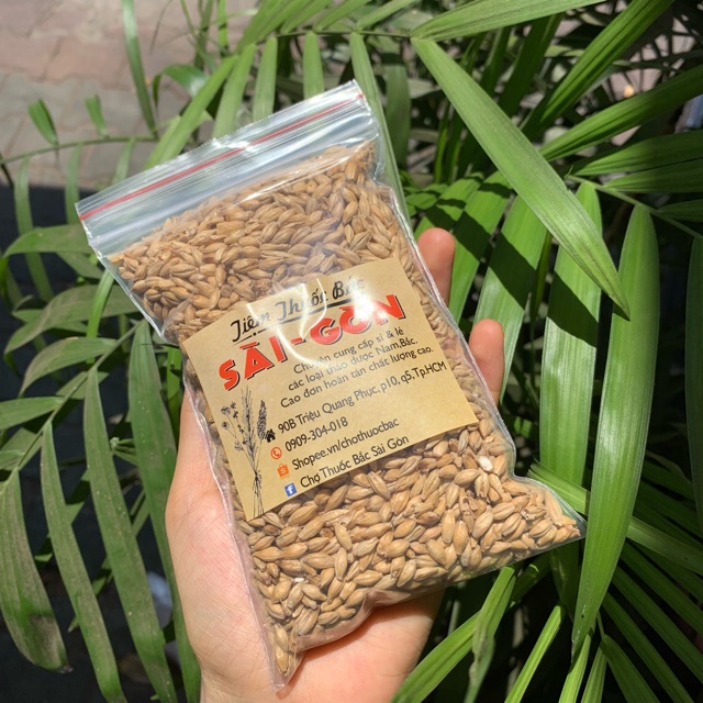 TIỂU MẠCH 100GRAM