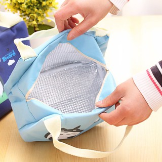 TÚI VẢI GIỮ NHIỆT HÌNH CÁ KB89
