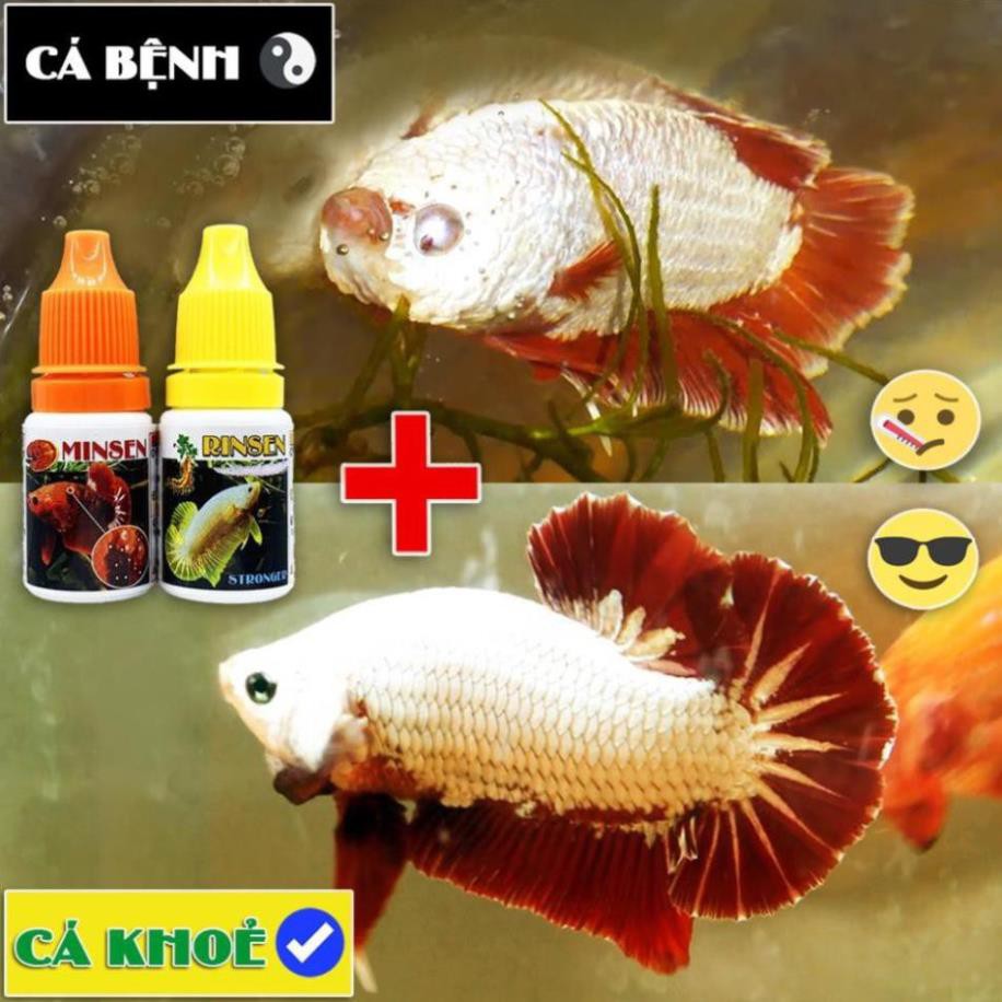 Dược phẩm MINSEN - Chuyên dưỡng cá, tri nâm, diêt khuân