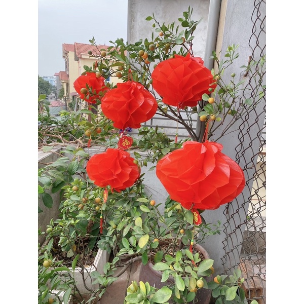 Đèn lồng tổ Ong trang trí tết size 12cm chữ Phúc may mắn , chịu được mưa ,gió