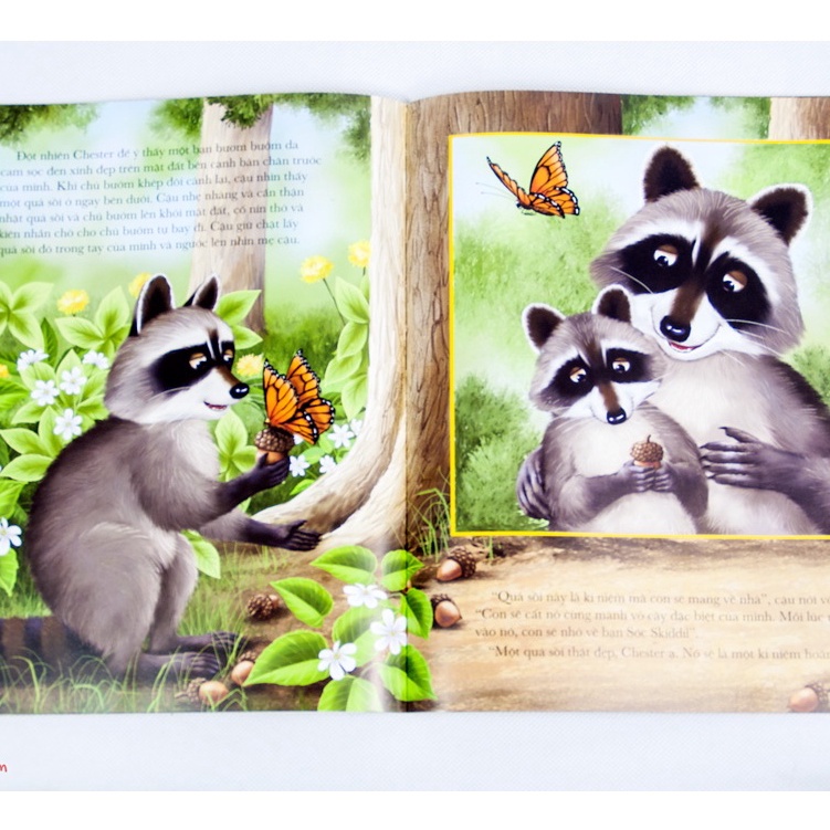 Sách Combo Picture Book Song NgữTrò Chơi Màu Sắc và Nụ hôn chúc ngủ ngon dành cho Gấu Mèo Chester