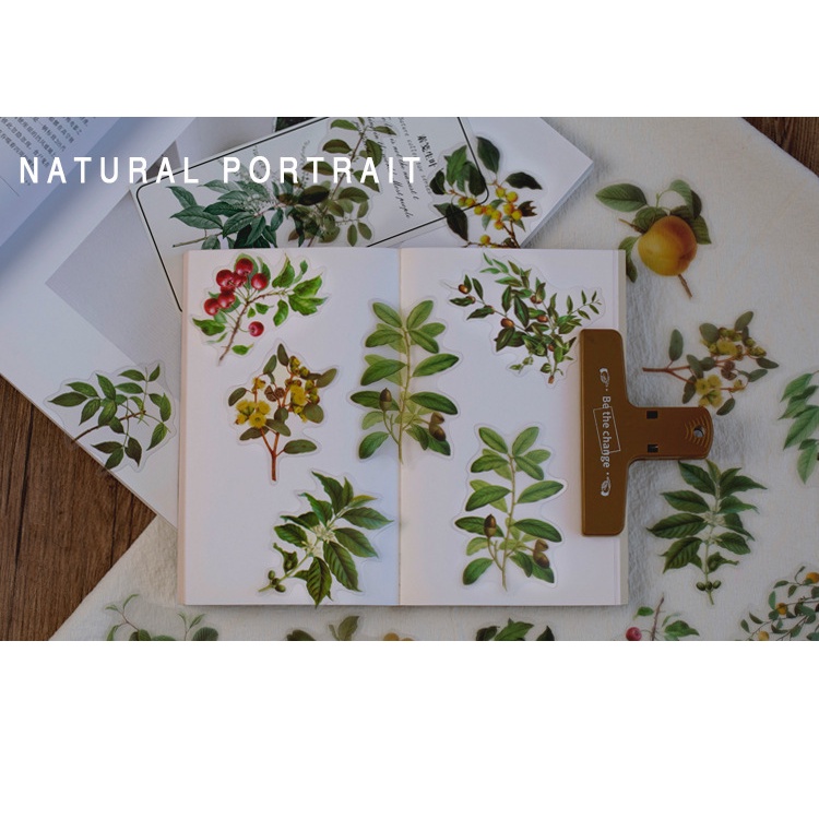 Bộ 40 Miếng Dán Trang Trí Sổ Tay Hình Cây Cối Sáng Tạo