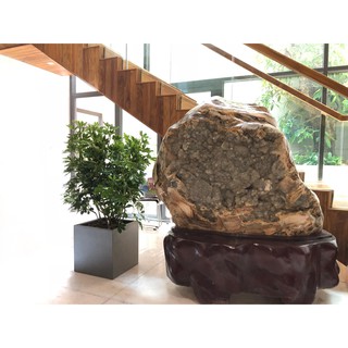 Chậu Fiber Trồng Cây Cao Cấp Hình Vuông (24x24x24cm) Trồng Cây Cảnh, Hoa Kiểng, Cây Văn Phòng - Hàng VNXK