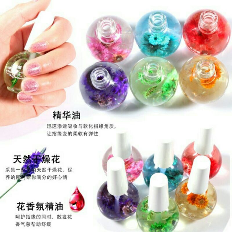 Dầu oil dưỡng viền móng mềm da 10ml