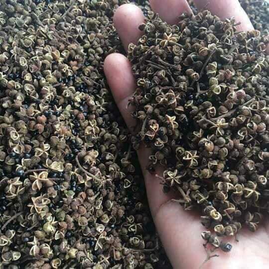 100gr Mắc khén Tây bắc