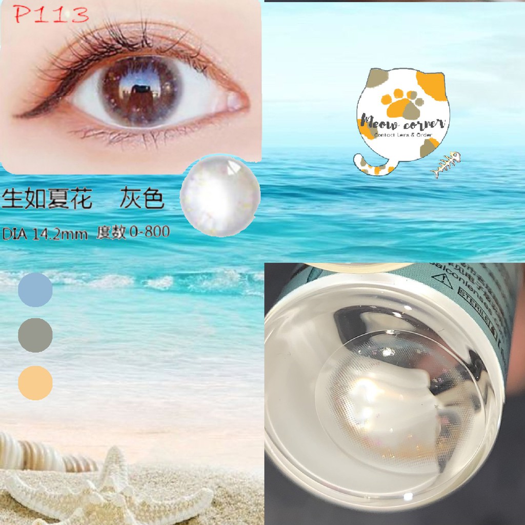 Lens teen nhiều màu 4