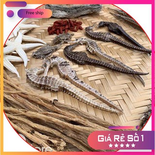 Cá ngựa khô 2 con
