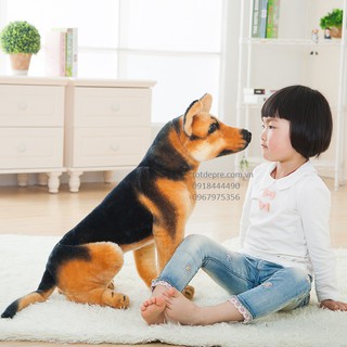 Chó bông như thật
