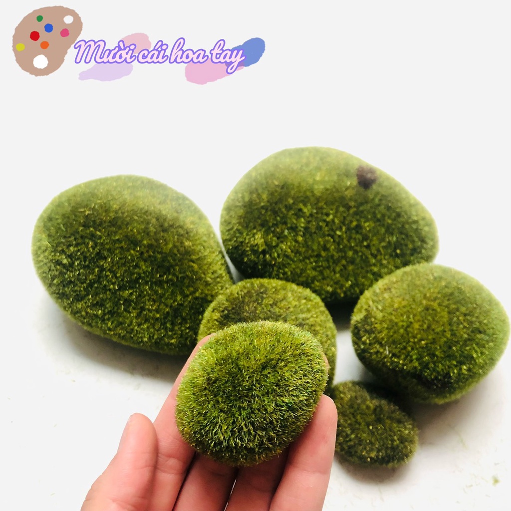 Rêu Đá Trang Trí Cắm Hoa Tạo Mô Hình Bonsai Bộ 6 Cục Rêu Giả Làm Tiểu Cảnh Mini Trang Trí Hộp Quà Tặng