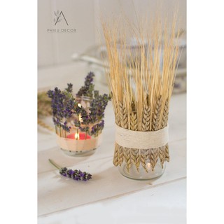 🌸Lúa Mạch Khô Decor Vintage🌸