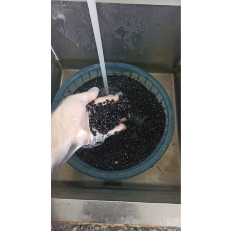 1000g. Ngũ cốc dinh dưỡng 23 loại hạt cao cấp(dùng có người muốn tăng cân, ăn kiêng, lợi sữa, bầu. )