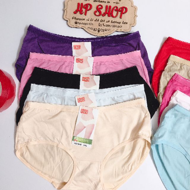 10 quần lót cotton mã 9660 phom 45-75kg
