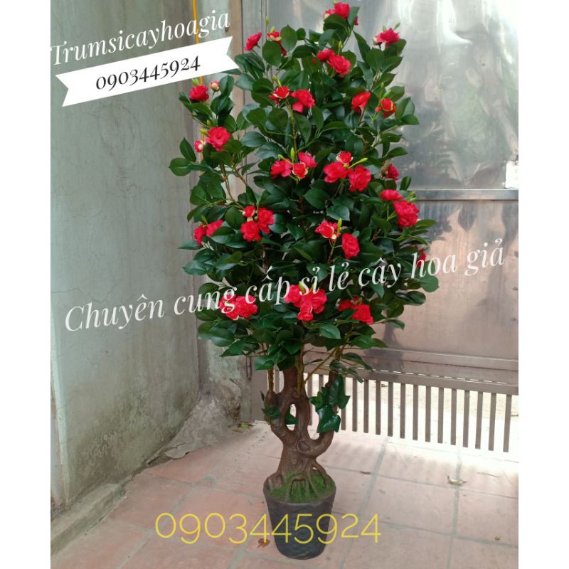 Cây Hoa Trà 1m5 siêu đẹp trang trí Decor-Cây Giả