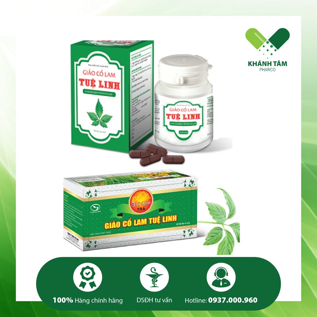 ! Giảo cổ lam Tuệ Linh - Trà giảo cổ lam - Trà túi lọc giảo cổ lam