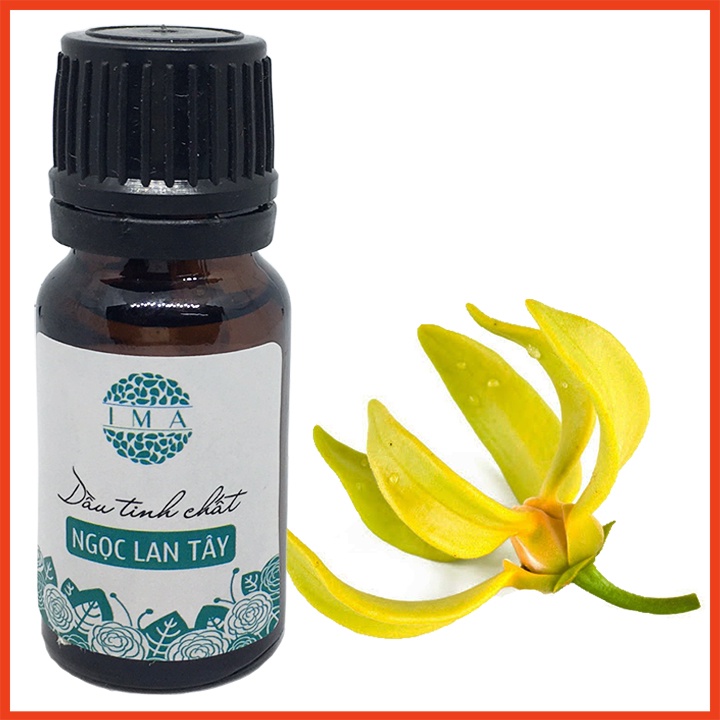 Tinh Dầu Thơm Phòng Ngọc Lan Tây IMA Ylang Ylang Essential Oil Giúp Thơm Phòng, Tinh Thần Hứng khởi