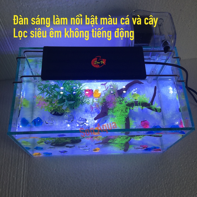 bể cá mini Combo gồm hồ đèn lọc, trọn bộ hồ cá để bàn thủy sinh phong thủy, kính trong dán giấu keo