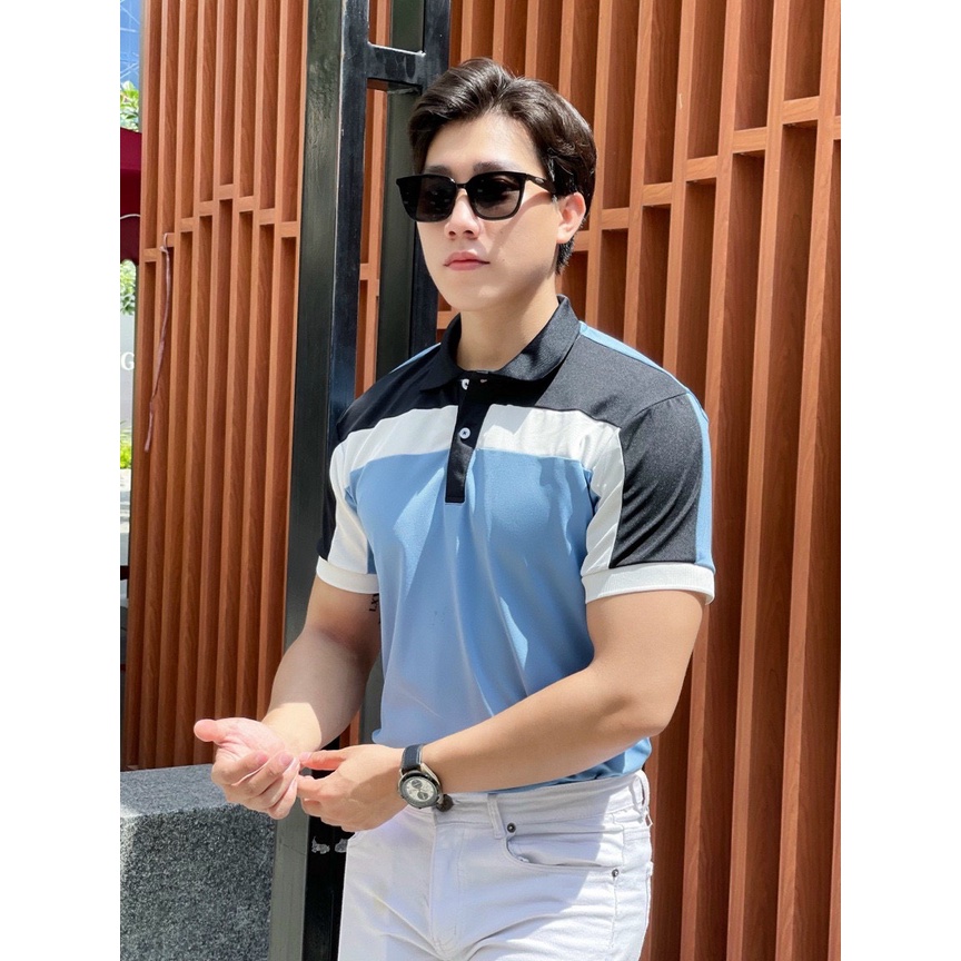 Áo polo nam cổ bẻ vải cá sấu Cotton xuất xịn,chuẩn form, sang trọng - thanh lịch TB013