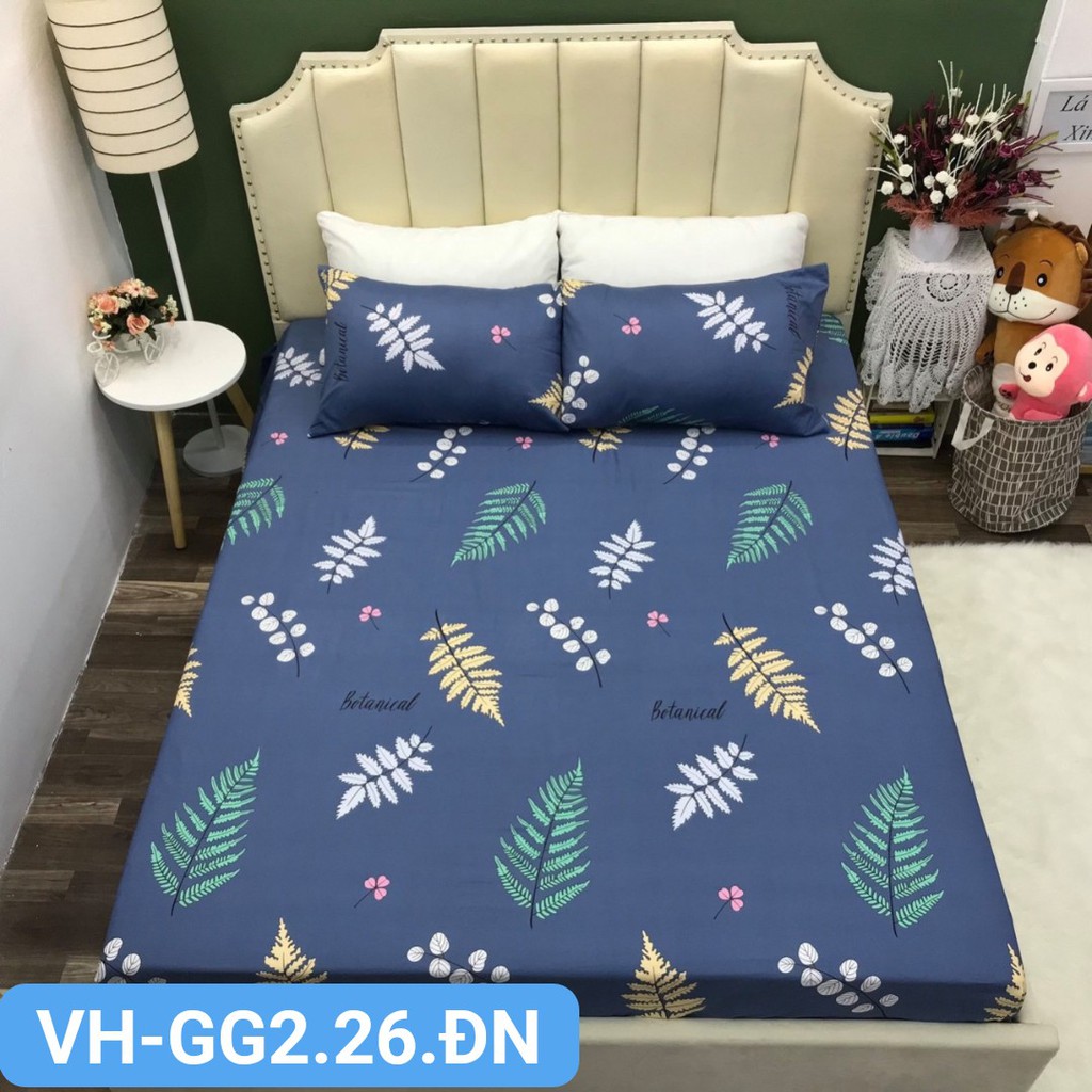 Set ga gối cotton hàng nhập đẳng cấp không gian phòng ngủ