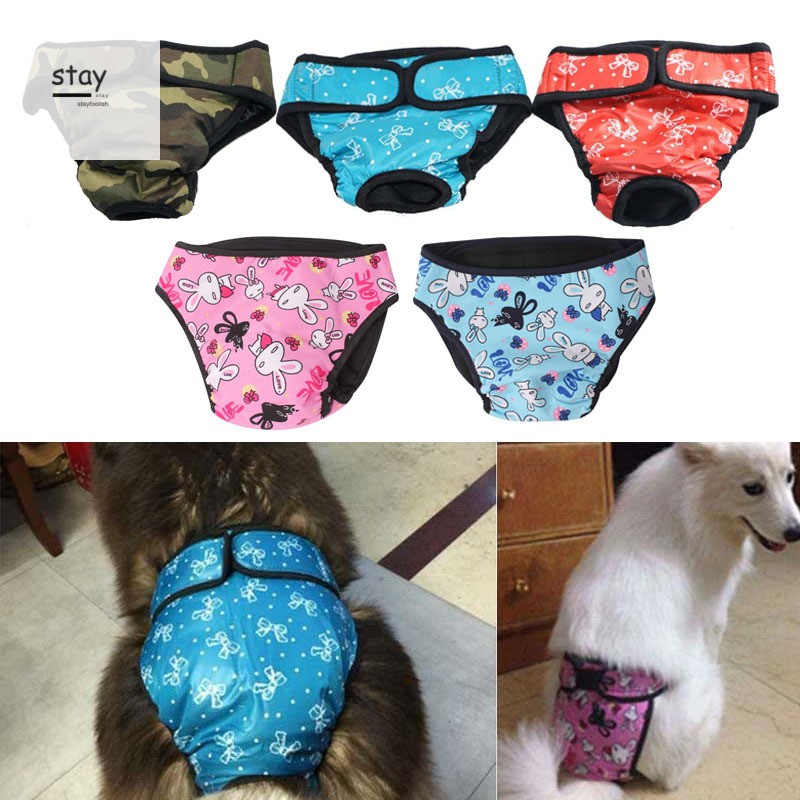 Quần Tã Cho Thú Cưng