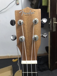 ĐÀN UKULELE CONCERT FENDER GỖ THẬT