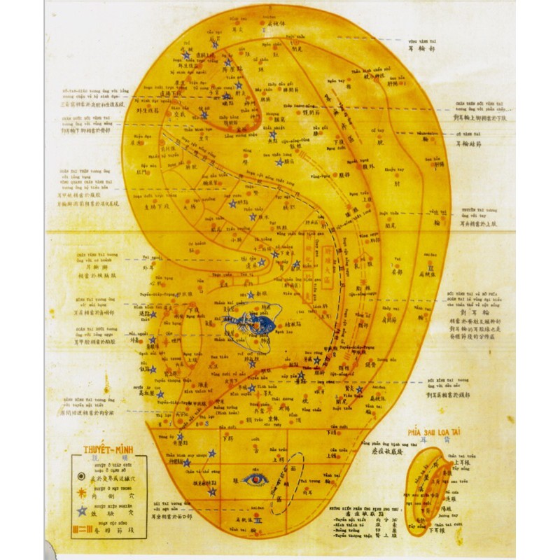 HÌNH NHĨ CHÂM NÂNG CAO