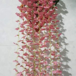 vĩ treo tường