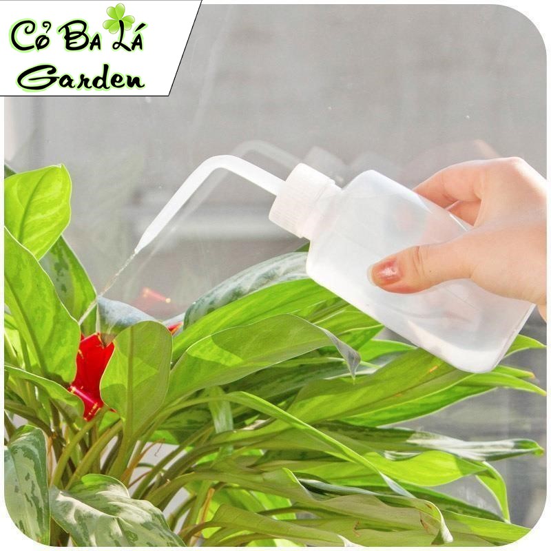 Bình Tưới nước Sen Đá 250ml-500ml-1000ml