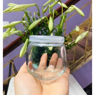 hũ thủy tinh làm sữa chua 200ml  (hũ béo)