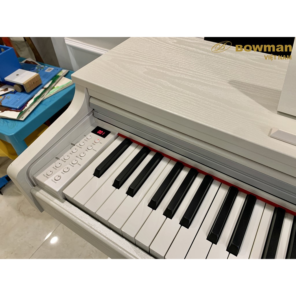 Bowman PIANO CX250 cung cấp chức năng đệm tự động, ghi âm 40000 nốt/ bài