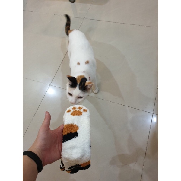 Vớ Tất Hình Chân Mèo Cosplay Boss Cho Sen