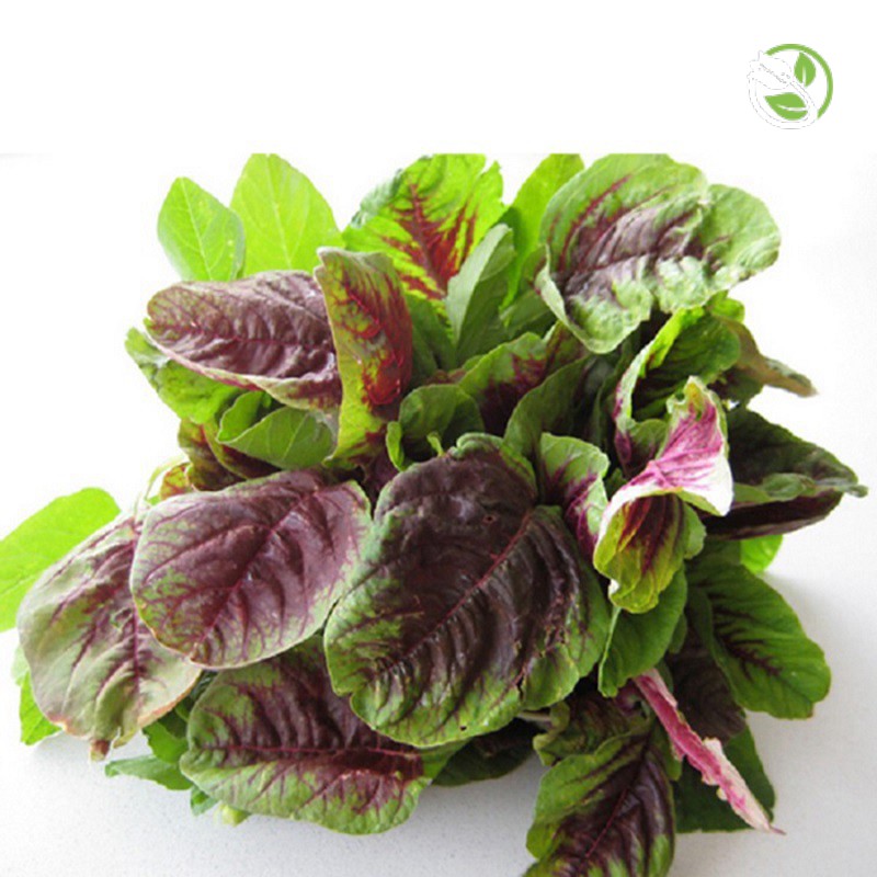 Hạt Giống Rau Dền Tía  PN 600 Phú Nông - Gói 20g - 50g - Amaranth Red & Green Leaves