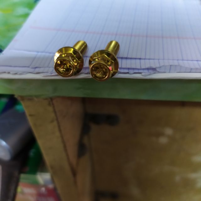 Ốc 6 ly 2 màu vàng (giá 1 con)