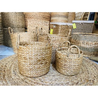 giỏ lục bình Đan xương cá