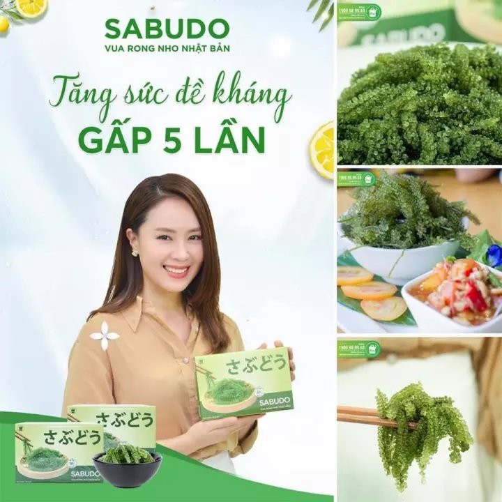 Rong nho sabudo Nhật Bản - 1 Gói 20gr | BigBuy360 - bigbuy360.vn
