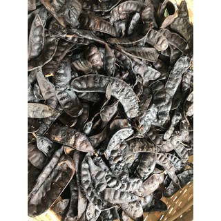 Trái Bồ Kết nướng sẳn không tách hạt 500g
