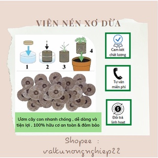 (Combo 50 viên - 100 viên ) Viên nén xơ dừa ươm hạt