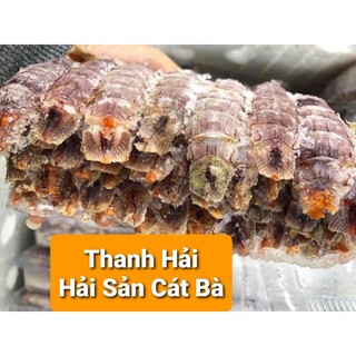 Bề Bề trứng bóc nõn 500g Hải Sản Cát Bà
