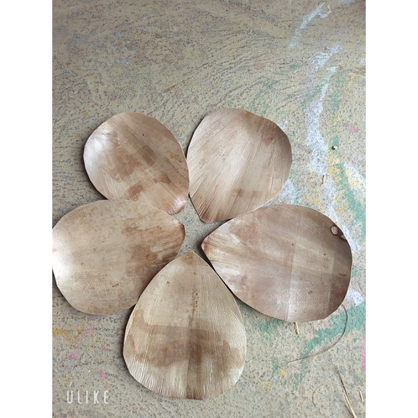lá cọ khô decor giá rẻ