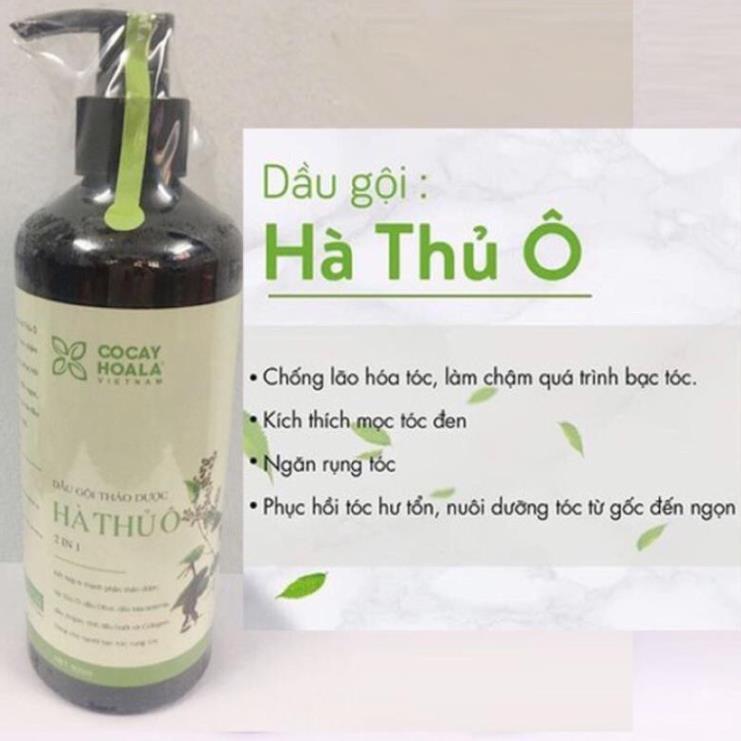 Dầu Gội Hà Thủ Ô Chai 800ml - Tóc Chắc Khoẻ - Chậm Bạc Tóc Sớm